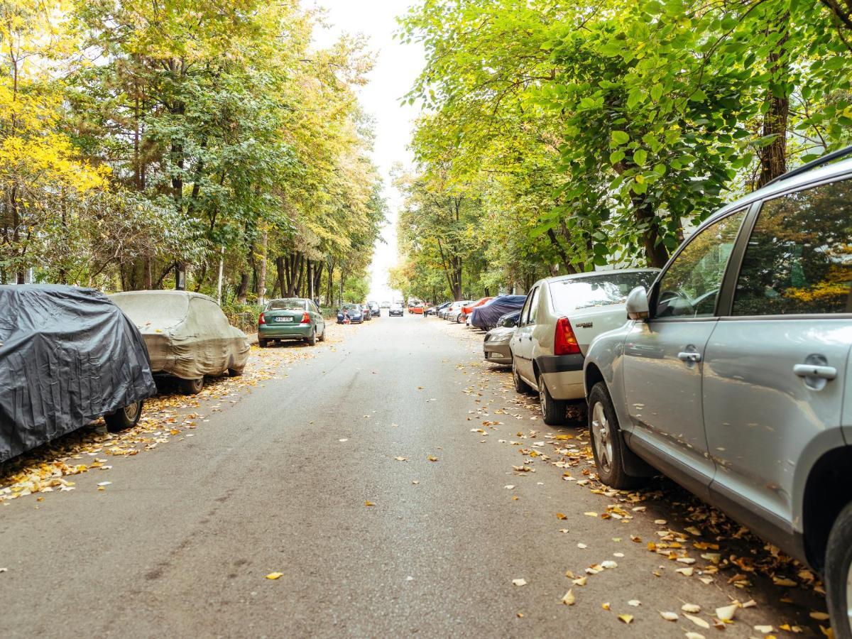 Woody - Cozy And Quiet Place Near Moghioros Park Bucureşti Exterior foto