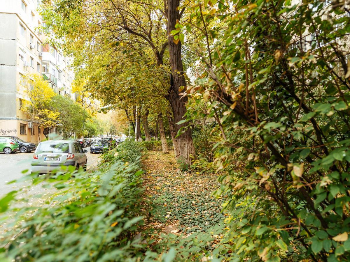 Woody - Cozy And Quiet Place Near Moghioros Park Bucureşti Exterior foto